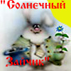декоративные кроли,шиншиллы,скинни,крысы сфинксы в Украине.